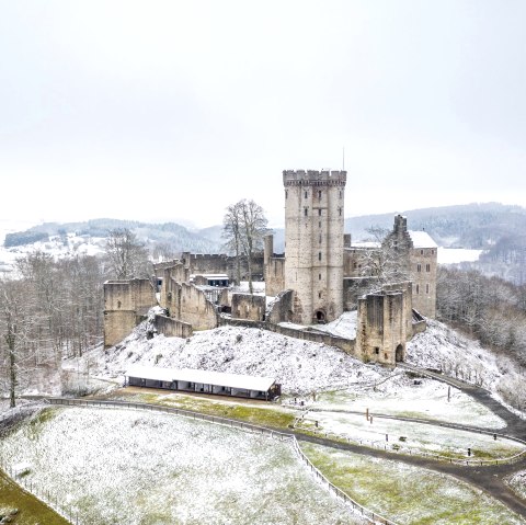 Adler- und Wolfspark im Winter, © Eifel Tourismus GmbH, Dominik Ketz