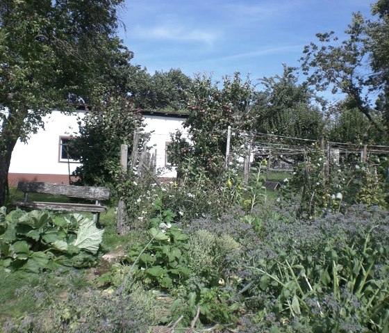 Bauerngarten, © Ferienhof an der Lay-Elisabeth Schröder