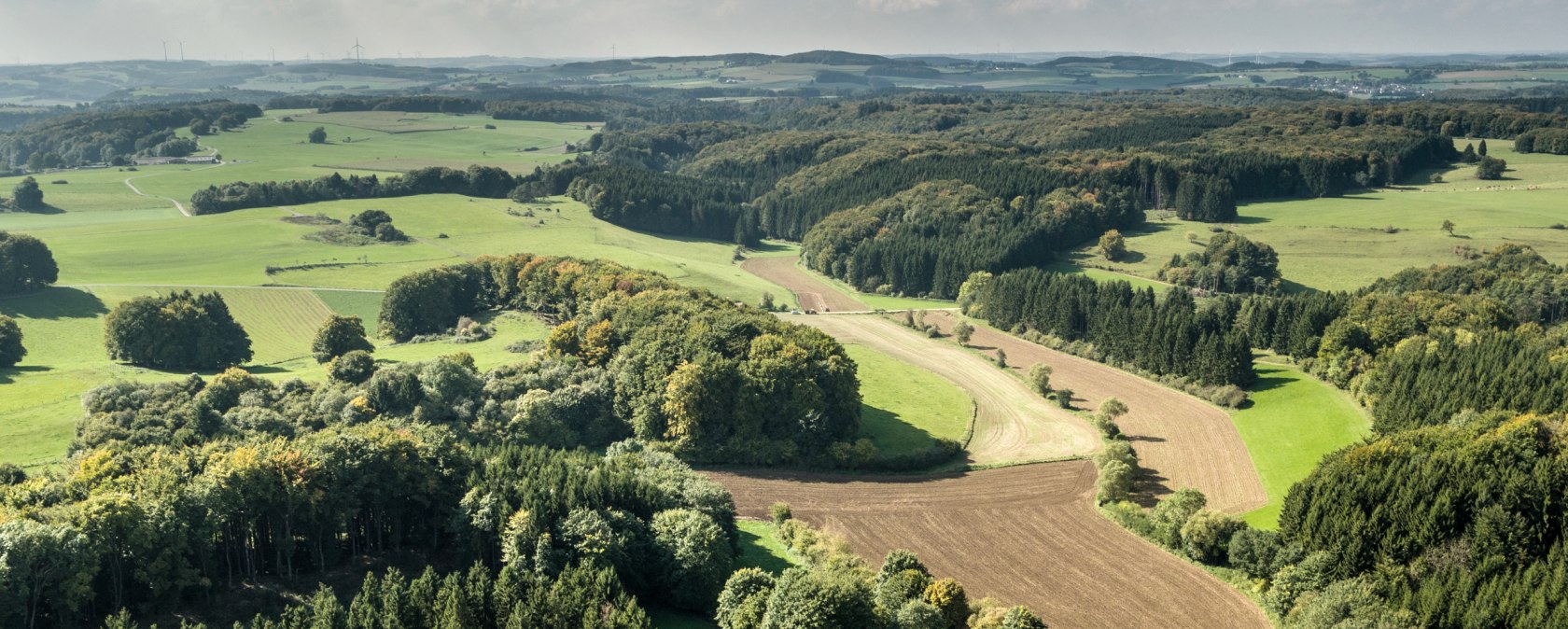 Ausblick, © Eifel Tourismus GmbH, Dominik Ketz