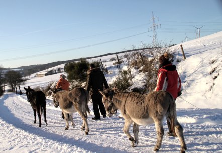 Winter-Eselwanderung, © Marleen Item