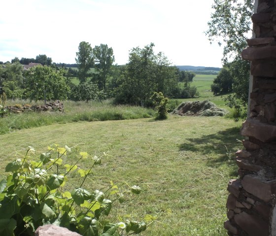 Ausblick aus dem Garten