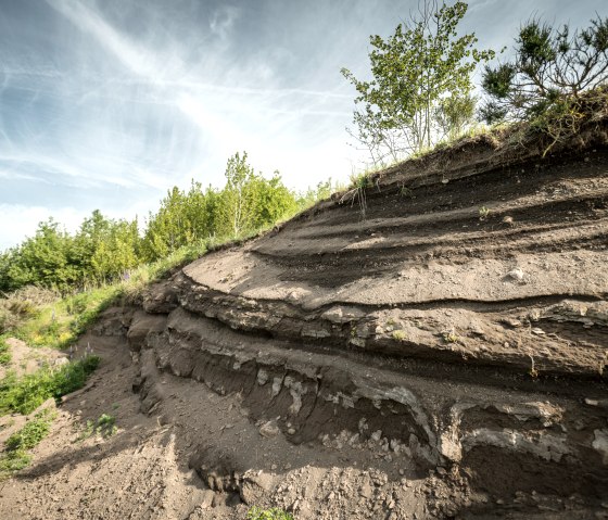 Vulkangarten, © Eifel Tourismus GmbH, Dominik Ketz