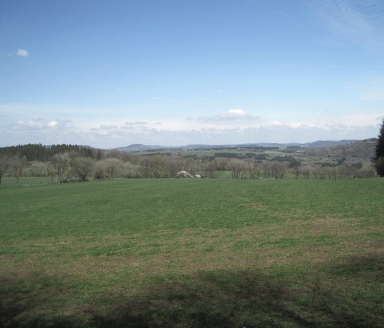 Ausblick von der XXL-Bank, © Touristik GmbH Gerolsteiner Land- Ute Klinkhammer