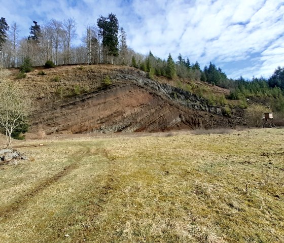 Gesteinsschichten Rockeskyller Kopf (3), © Touristik GmbH Gerolsteiner Land, Ute Klinkhammer