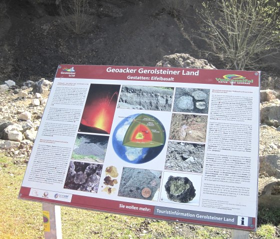 Infotafel Geoacker - Eifelbasalt, © Touristik GmbH Gerolsteiner Land, Ute Klinkhammer