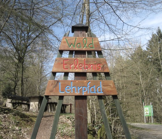 Wald-Erlebnis-Lehrpfad Birresborn (1), © Touristik GmbH Gerolsteiner Land, Ute Klinkhammer