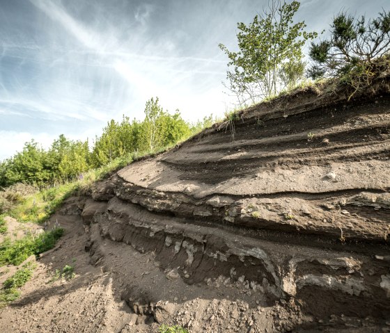 Vulkanpfad Steffeln, © Eifel Tourismus GmbH, Dominik Ketz