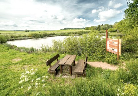 Eichholzmaar am Vulkanpfad, © Eifel Tourismus GmbH, Dominik Ketz