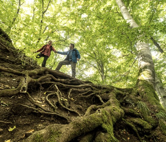 ET-2017-338-Schneifel-Pfad, Eishöhlen Birresborn © Eifel Tourismus GmbH, Dominik Ketz, © Eifel Tourismus GmbH, Dominik Ketz