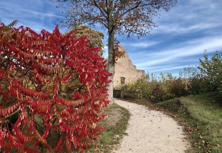 Löwenburg im Herbst