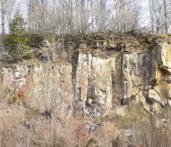 Basaltsteinbruch Rockeskyller Kopf (1), © Touristik GmbH Gerolsteiner Land, Ute Klinkhammer