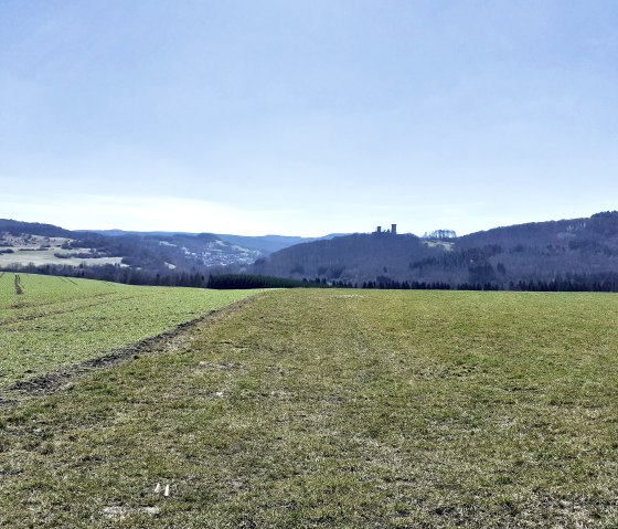 Blick auf die Kasselburg, © Touristik GmbH Gerolsteiner Land, Ute Klinkhammer