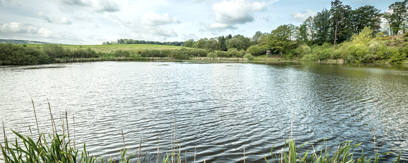 et-2019-371-vulcanpfad-eichholzmaar-eifel-tourismus-gmbh-dominik-ketz