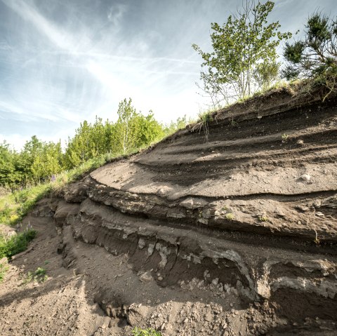 Vulkaneifel, © Eifel Tourismus GmbH, Dominik Ketz