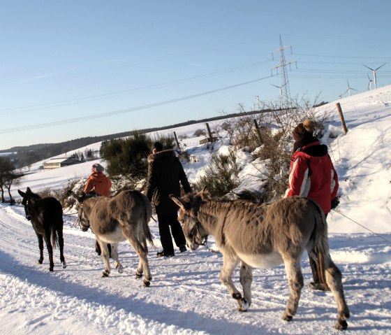 Winter-Eselwanderung, © Marleen Item