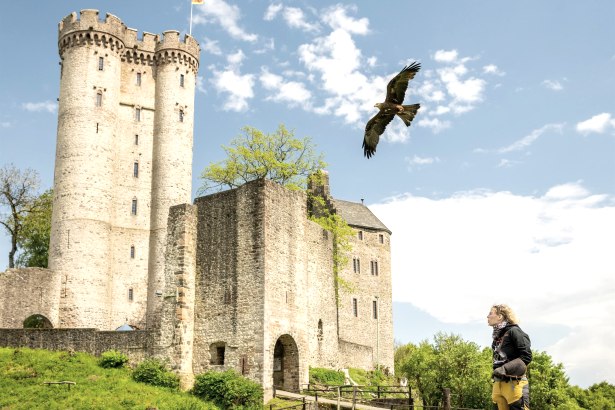 Adler & Wolfspark Kasselburg, Pelm, © Eifel Tourismus GmbH, Dominik Ketz