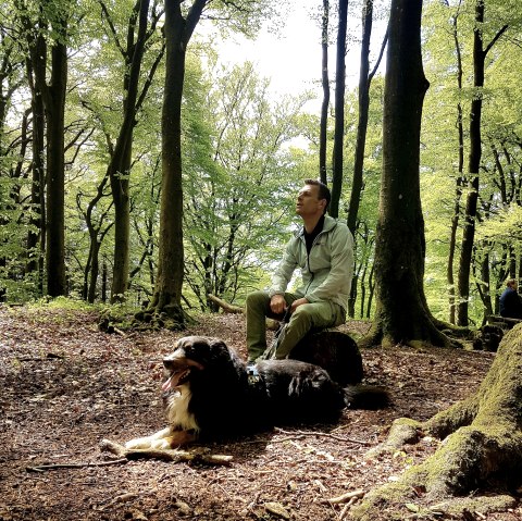 Rast mit Hund, © Nicole Baller/TW Gerolsteiner Land GmbH