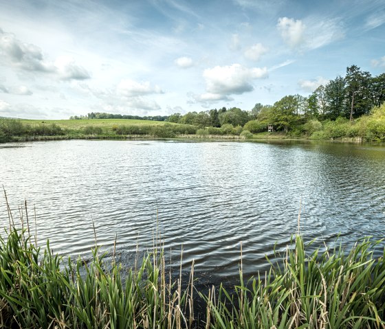 ET-2019-371-Vulcanpfad, Eichholzmaar © Eifel Tourismus GmbH, Dominik Ketz, © Eifel Tourismus GmbH, Dominik Ketz