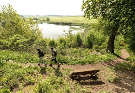 3-Tage Wanden ohne Gepäck, © Eifel Tourismus GmbH, Dominik Ketz