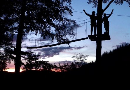 Ziplining by Night, © EifelAdventures Berlingen