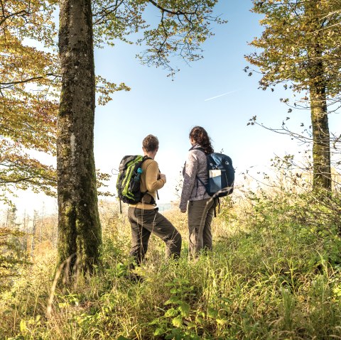 Eifel Tourismus-2021-362-Hochkellberg-© Eifel Tourismus GmbH, Dominik Ketz, © Eifel Tourismus GmbH, Dominik Ketz