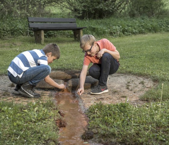 Gees, © Natur- und Geopark Vulkaneifel