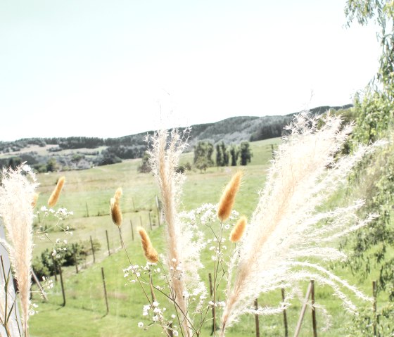 Ausblick, © Melanie Thurmann / Ferienwohnung Gerolstein