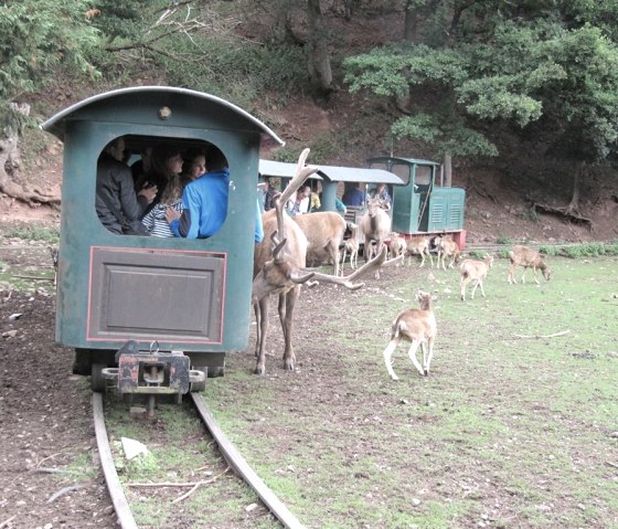 Eifel Zoo Lünebach, © Gertrud Wieser