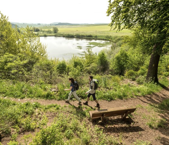 Geo-Wanderweg, © Eifel Tourismus GmbH, Dominik Ketz