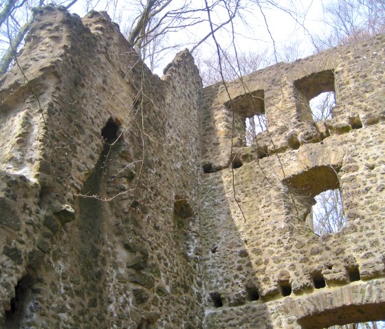 Burgruine Freudenkoppe, © Touristik GmbH Gerolsteiner Land, Ute Klinkhammer