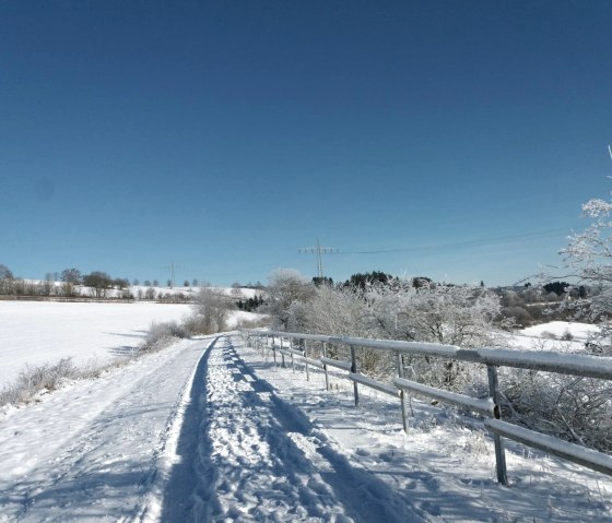 Schnee auf dem Kyllradweg in Hallschlag