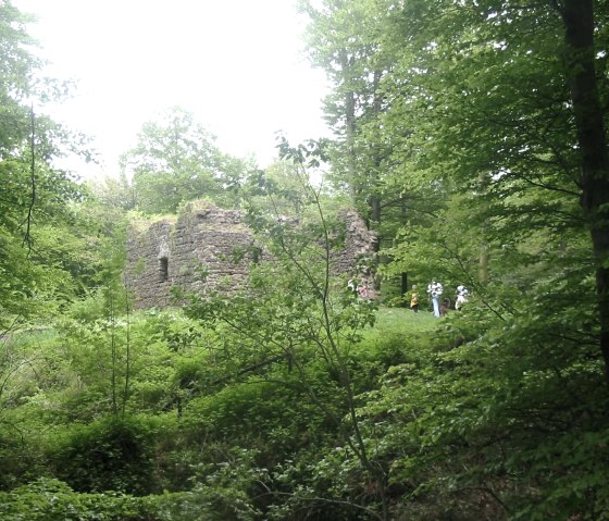 Burgruine Nerother Kopf, © Nicole Baller, TW Gerolsteiner Land