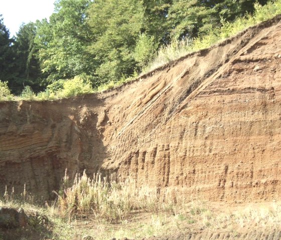 Rockeskyller Kopf, © Tourist-Information Gerolsteiner Land