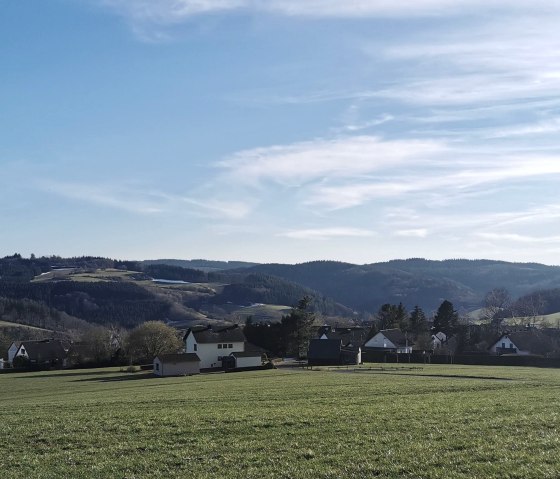 Blick über Büscheich