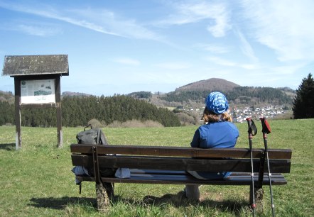 Blick auf den Nerother Kopf, © Touristik GmbH Gerolsteiner Land, Ute Klinkhammer