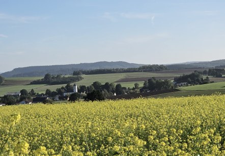 Rapsfelder mit Blick auf Auel (c) Touristik GmbH Gerolsteiner Land, Leonie Post, © Touristik GmbH Gerolsteiner Land