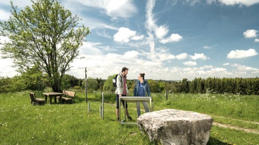 Naturschutzgebiet Steinbüchel, © Eifel Tourismus GmbH, Dominik Ketz