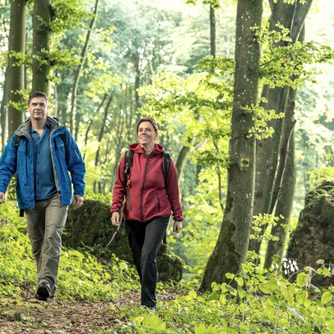 Wandern, © Eifel Tourismus GmbH, Dominik Ketz