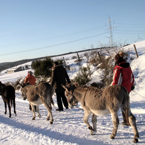 Winter Eselwanderung, © Marleen Item, Citiescape-Naturcamp