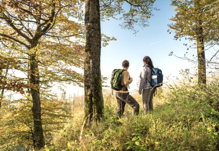 Eifel Tourismus-2021-362-Hochkellberg-© Eifel Tourismus GmbH, Dominik Ketz, © Eifel Tourismus GmbH, Dominik Ketz