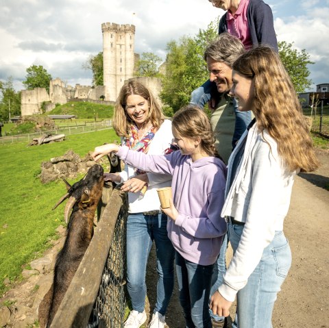 Streichelzoo Adler &amp; Wolfspark Kasselburg, © Eifel Tourismus GmbH, Dominik Ketz