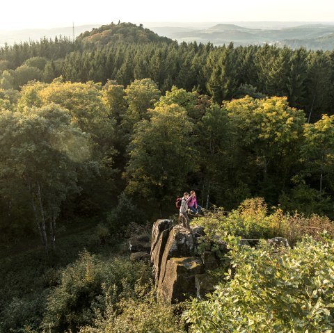 Ausblick von der Dietzenley, © Eifel Tourismus GmbH, Dominik Ketz