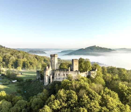 Kasselburg mit Adler und Wolfspark, © Eifel Tourismus GmbH, Dominik Ketz