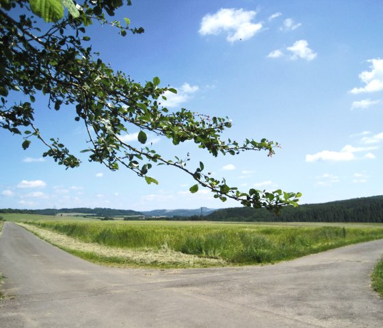 Wanderweg, © Touristik GmbH Gerolsteiner Land, Ute Klinkhammer