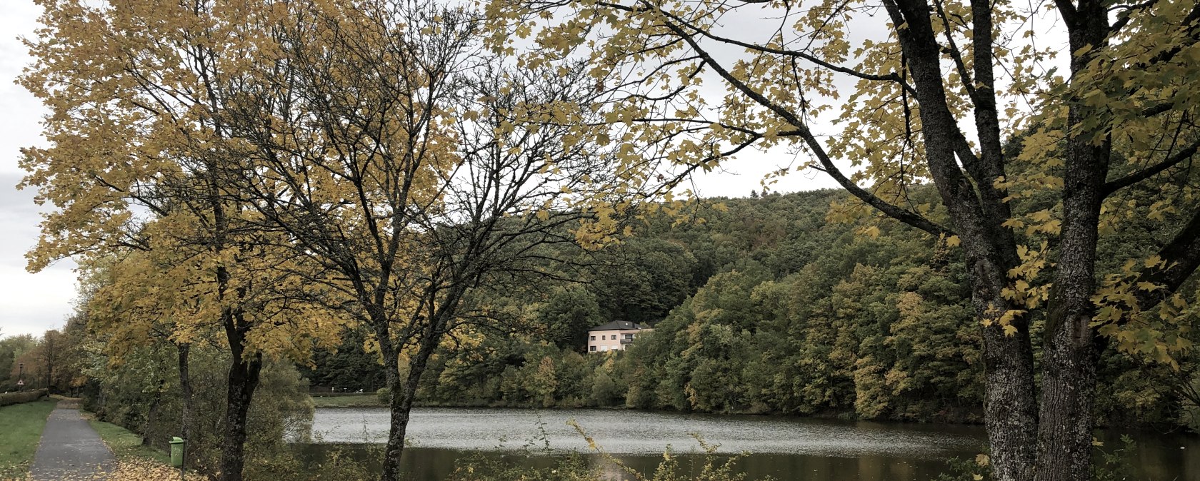 wirftstausee-stadtkyll-herbst