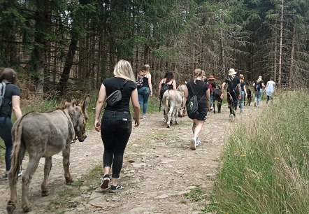 Eselwanderung, © Marleen Item