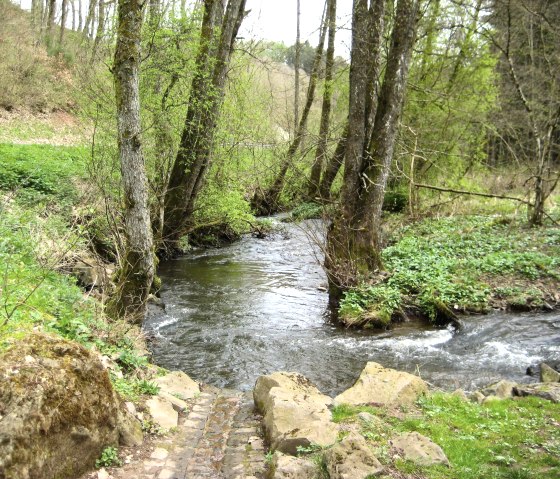 Fischbach, © Touristik GmbH Gerolsteiner Land, Ute Klinkhammer