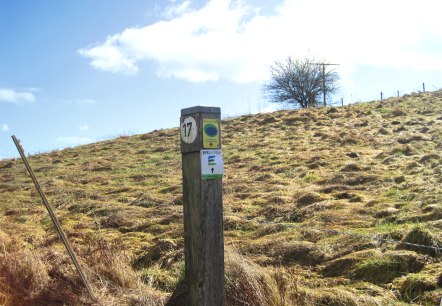 Wanderweg Pfeiler, © Touristik GmbH Gerolsteiner Land, Ute Klinkhammer