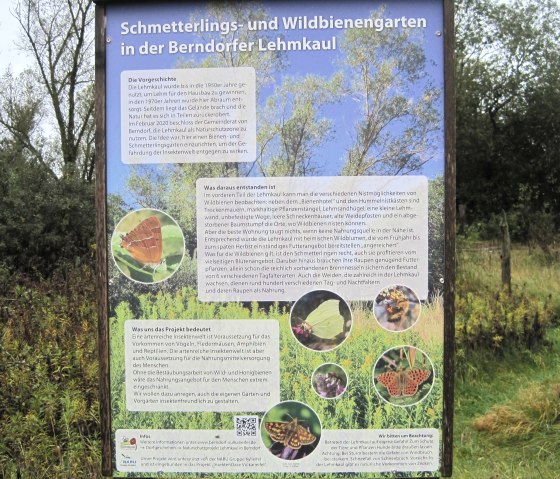 Tafel Schmetterlings- und Wildbienengarten Berndorfer Lehmkaul, © Touristik GmbH Gerolsteiner Land, Ute Klinkhammer