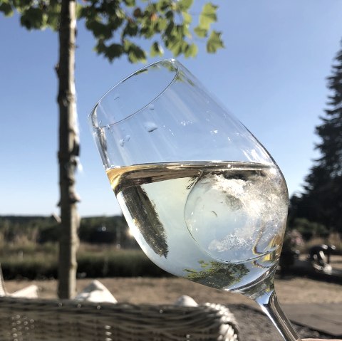 Wein mit Aussicht, © Manuela Kolbe